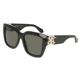 Salvatore Ferragamo Sunglasses SF2083SE