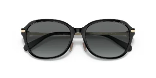 Coach Sunglasses HC8332D