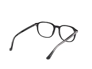 Web Eyeglasses WE5454