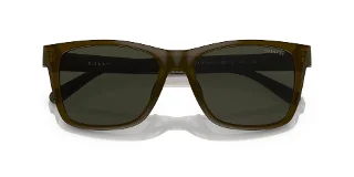 Coach Sunglasses HC8359U