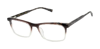 Ted Baker Eyeglasses TM017