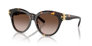 201613 Brown Tortoise