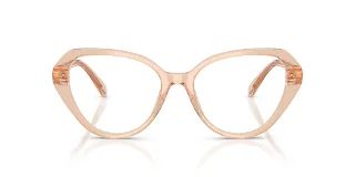 Swarovski Eyeglasses SK2054