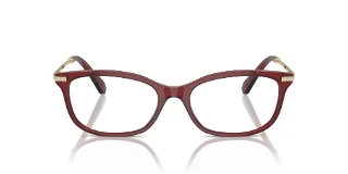 Swarovski Eyeglasses SK2017