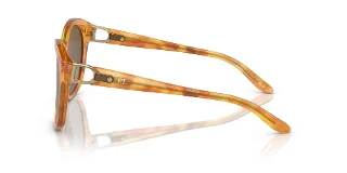 Ralph Lauren Sunglasses RL8190Q