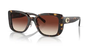 512013 Dark Tortoise