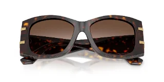 Dolce & Gabbana Sunglasses DG4501