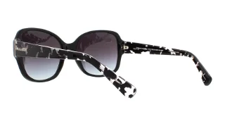Coach Sunglasses HC8166 L154
