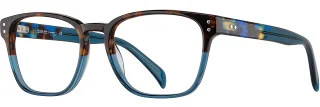 C02 Tortoise/Blue