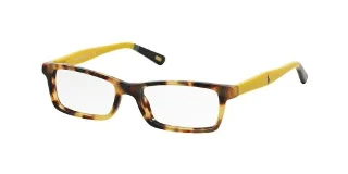1310 Spotty Tortoise Yellow Black