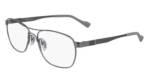 Flexon Eyeglasses AUTOFLEX 113