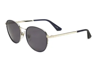 Sandro Sunglasses SDS4005