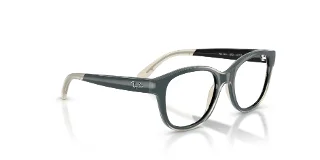 Ray Ban Eyeglasses RY1950