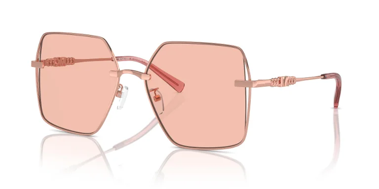 Michael Kors Sunglasses MK1157D