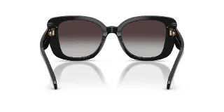 Coach Sunglasses HC8450U