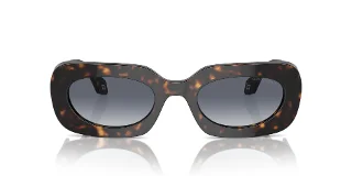 Giorgio Armani Sunglasses AR8182