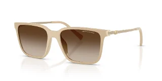 842013 Shiny Beige