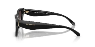 Coach Sunglasses HC8451U