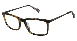 C02 Tortoise