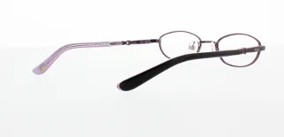 Polo Eyeglasses PP8015