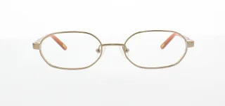 Polo Eyeglasses PP8017