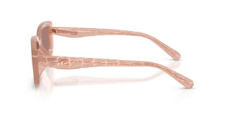 Coach Sunglasses HC8444D