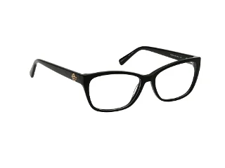 Harley Davidson Eyeglasses HD50108