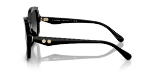 Coach Sunglasses HC8410U