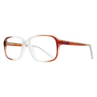 Stylewise Eyeglasses GREG