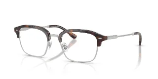 6161 Brown Tortoise