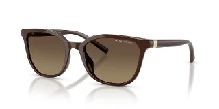 8402T5 Shiny Dark Brown
