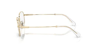 Swarovski Eyeglasses SK1005
