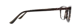Harley Davidson Eyeglasses HD0523