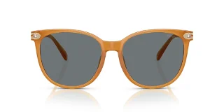 Coach Sunglasses HC8414BD