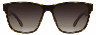 2 - Dark Tortoise