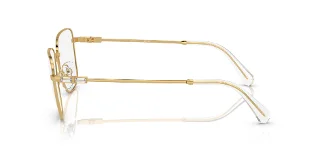 Swarovski Eyeglasses SK1003