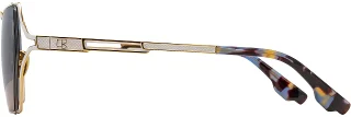 Alan J Eyeglasses C&B Majestic