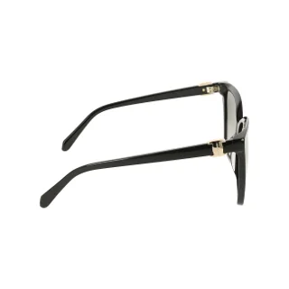 Salvatore Ferragamo Sunglasses SF2121S