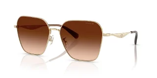 900574 Shiny Light Gold