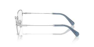 Swarovski Eyeglasses SK1010