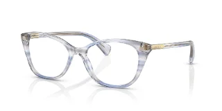 6036 Shiny Striped Blue Brown