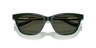 Giorgio Armani Sunglasses AR8221