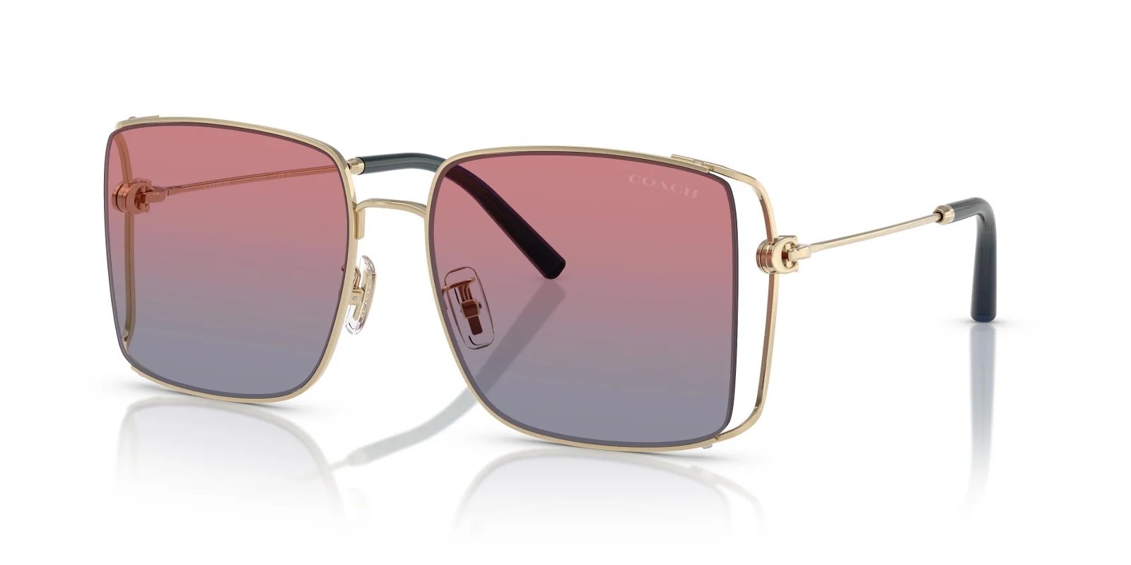 Coach Sunglasses HC7174D