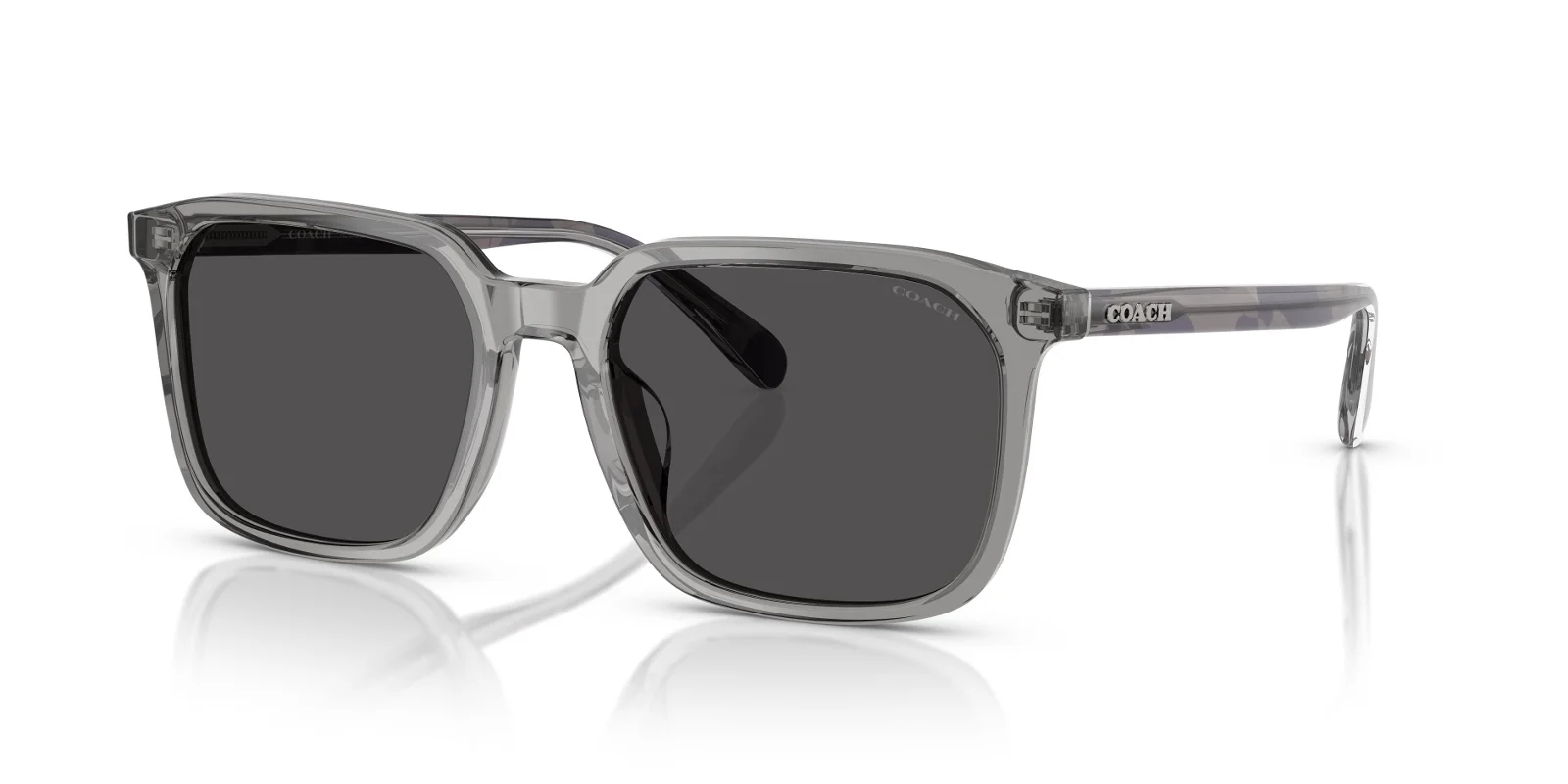 Coach Sunglasses HC8411U