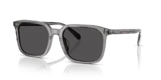 Coach Sunglasses HC8411U