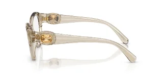 Swarovski Eyeglasses SK2057