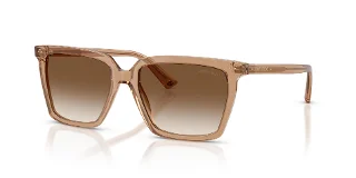 507613 Transparent Tan