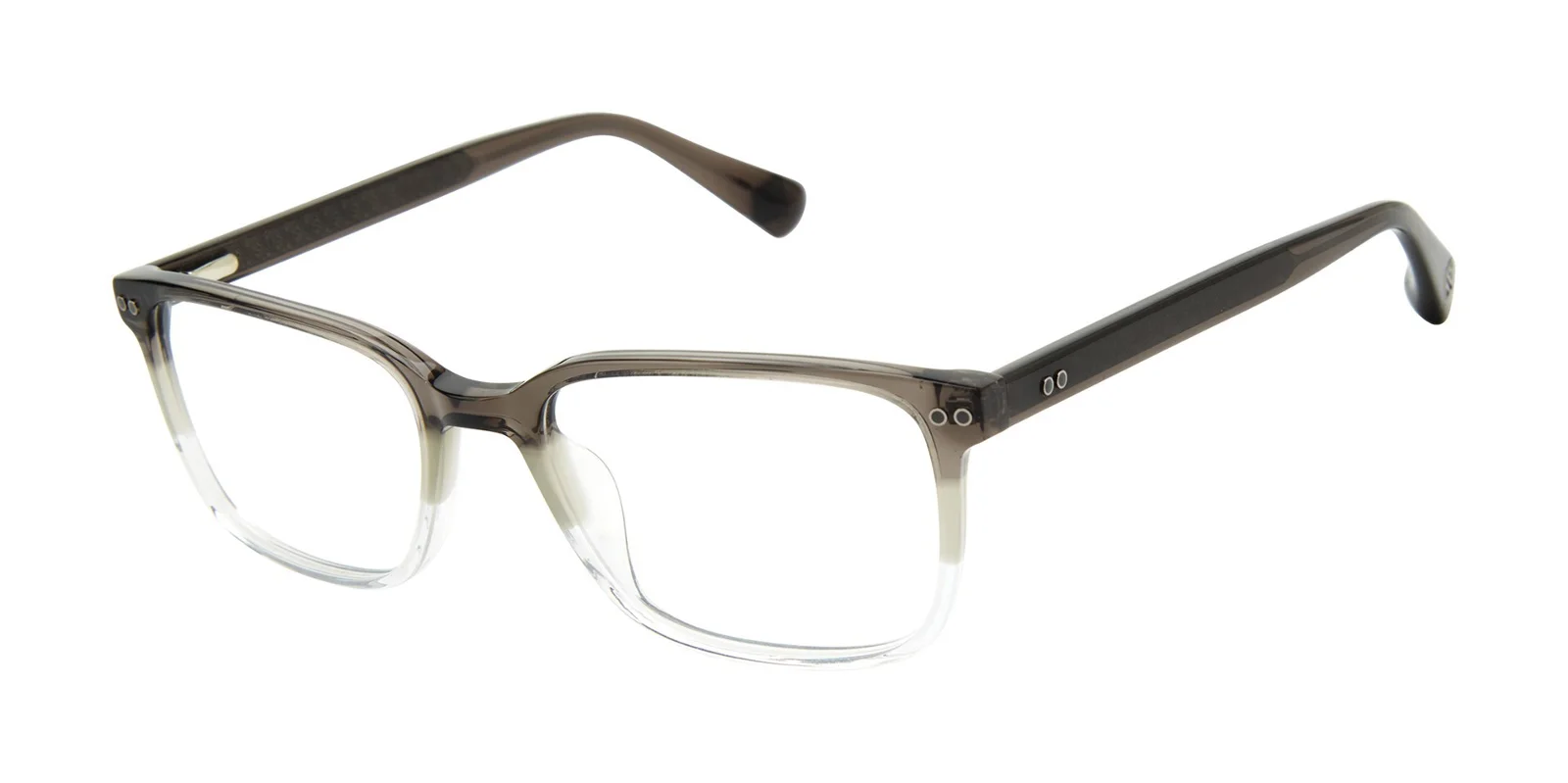 Ted Baker Eyeglasses TLM005
