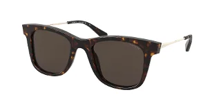 503173 Dark Tortoise