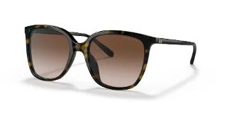 300613 Dark Tortoise